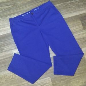 EUC GAP broken-in straight khakis